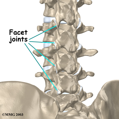 Mr. Consultant Facet Joints Are Supposed To Move!
