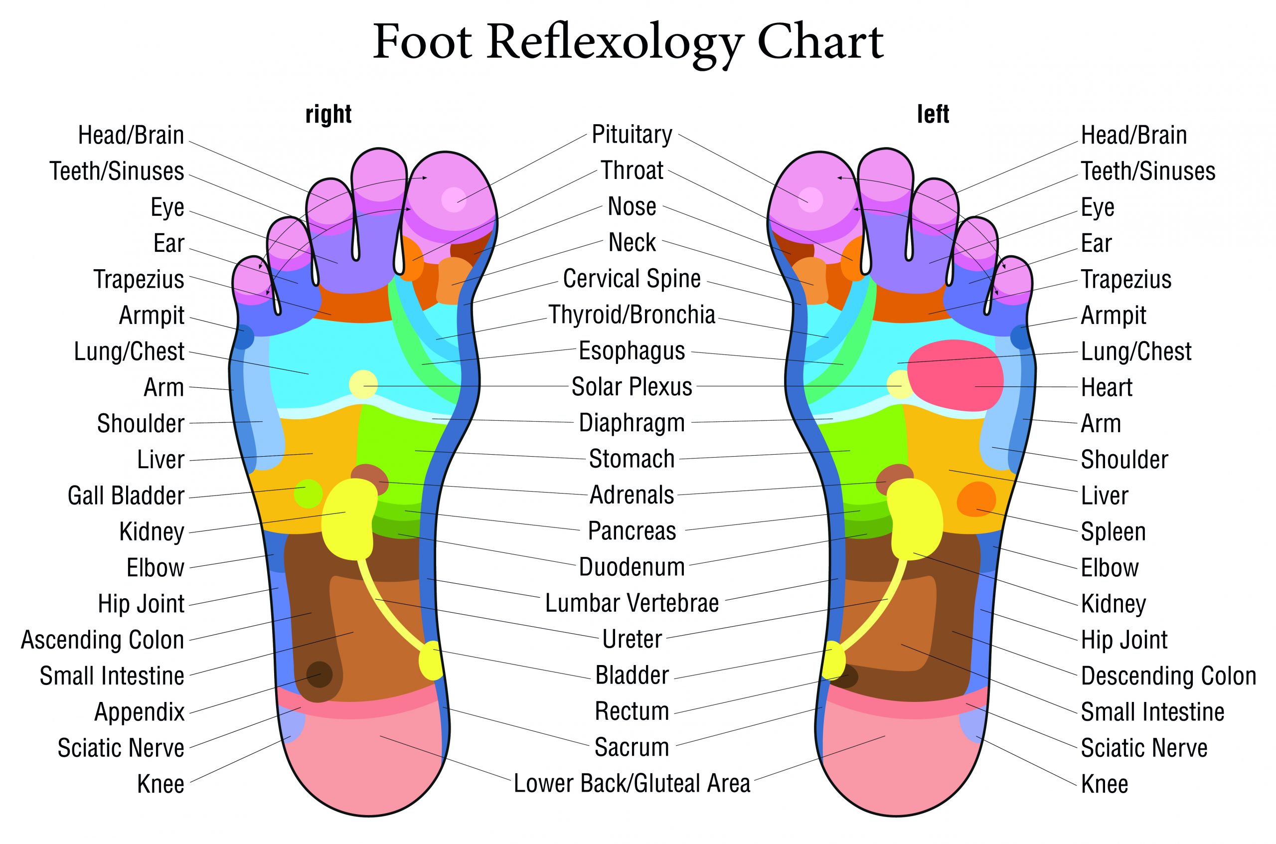 Foot Reflexology Colored Chart Description Joy Lane Clinic
